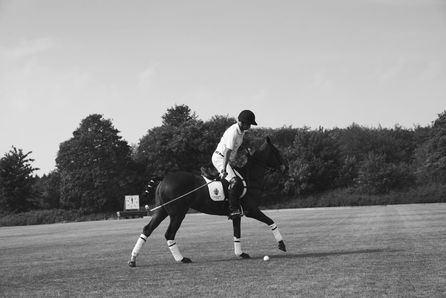 Polo 88_sh
